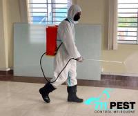 711 Pest Control Melbourne image 2